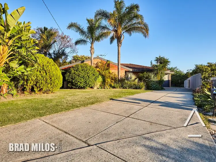 Third view of Homely house listing, 14 Begonia Close, Yangebup WA 6164