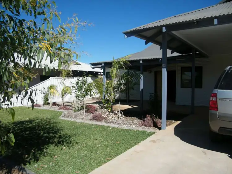 16 Zamia Link