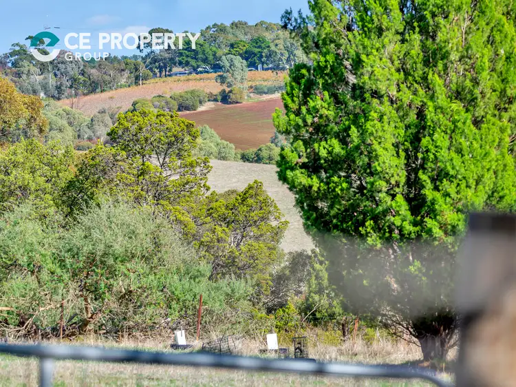 Fourth view of Homely rural property listing, 111 McGilp Road, One Tree Hill SA 5114
