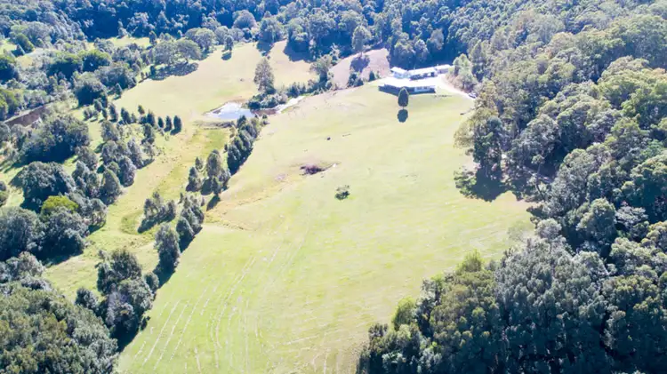 Third view of Homely rural property listing, 49 Richards Deviation Dunbible, Stokers Siding NSW 2484