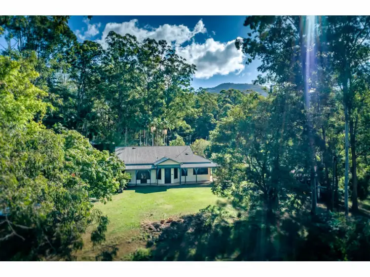 54 Summervilles Road, Bellingen NSW 2454