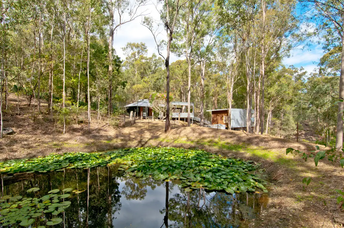Main view of Homely rural property listing, 50-58 Quail Street, Cedar Vale QLD 4285