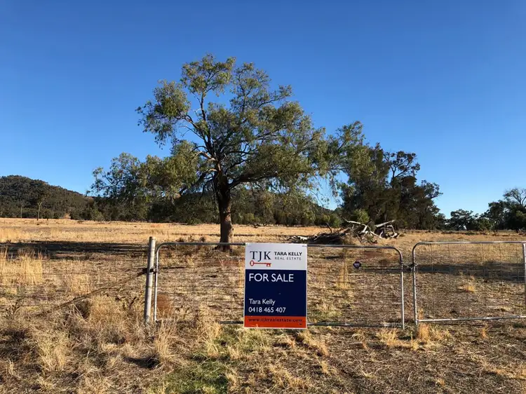 LOT 12 Mount Tallabung Road, Forbes NSW 2871