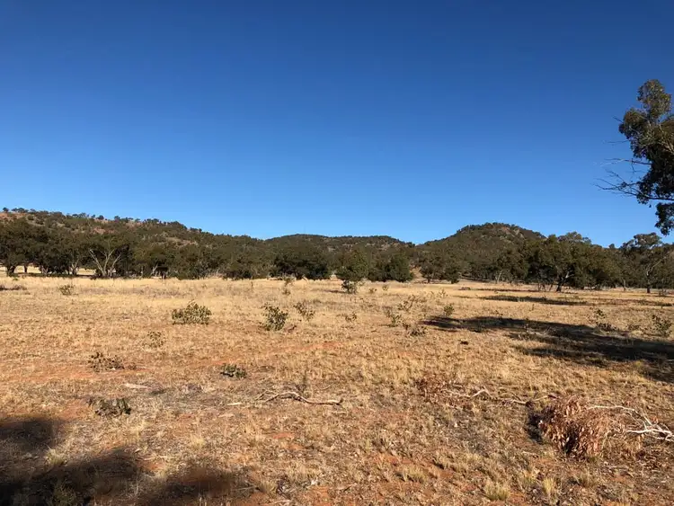 Sixth view of Homely rural property listing, LOT 12 Mount Tallabung Road, Forbes NSW 2871