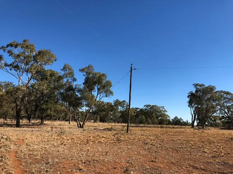Seventh view of Homely rural property listing, LOT 12 Mount Tallabung Road, Forbes NSW 2871