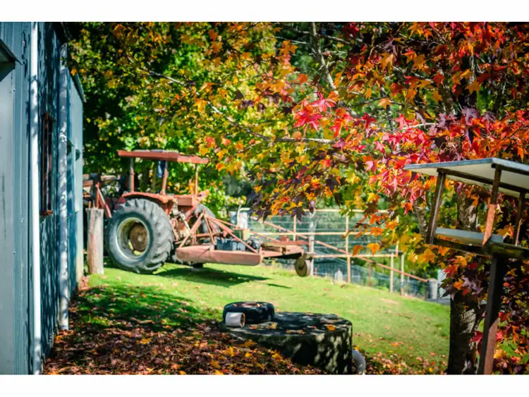 Third view of Homely rural property listing, 80 Mount Street, Dundurrabin NSW 2453