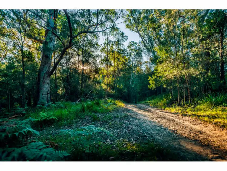 Fourth view of Homely rural property listing, 80 Mount Street, Dundurrabin NSW 2453