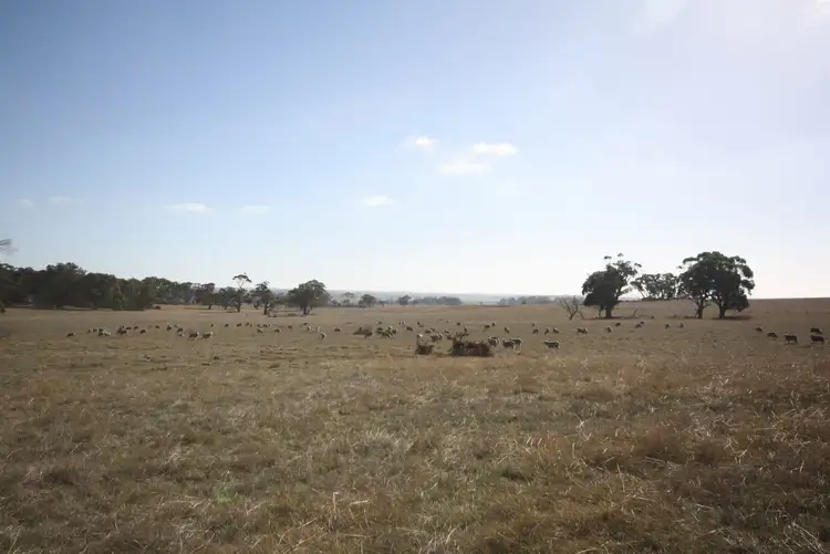 Fourth view of Homely rural property listing, CA A36, A38, A21a Nine Mile Road, Napoleons VIC 3352