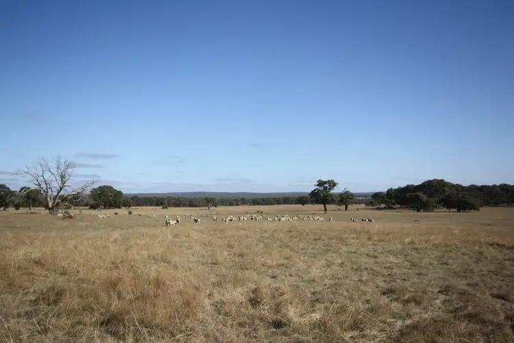 Sixth view of Homely rural property listing, CA A36, A38, A21a Nine Mile Road, Napoleons VIC 3352