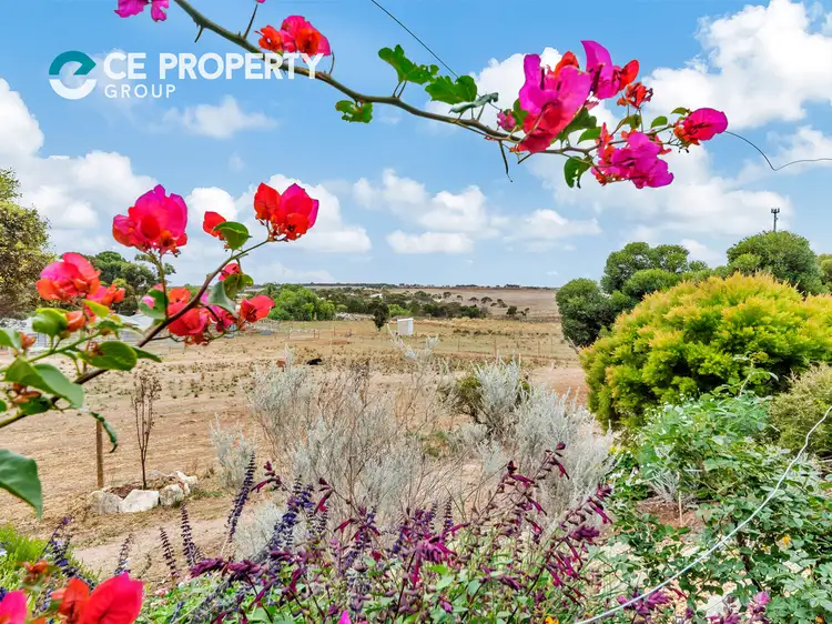 Second view of Homely rural property listing, 3 Pilmore Road, Murray Bridge SA 5253