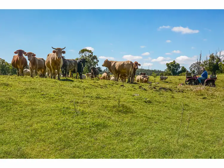 Sixth view of Homely house listing, 11 Wild Road, Bald Knob QLD 4552