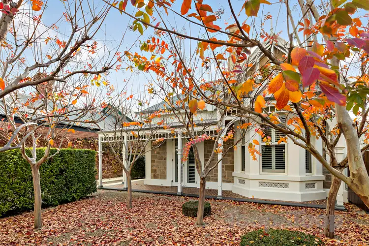 114 Finniss Street, North Adelaide SA 5006