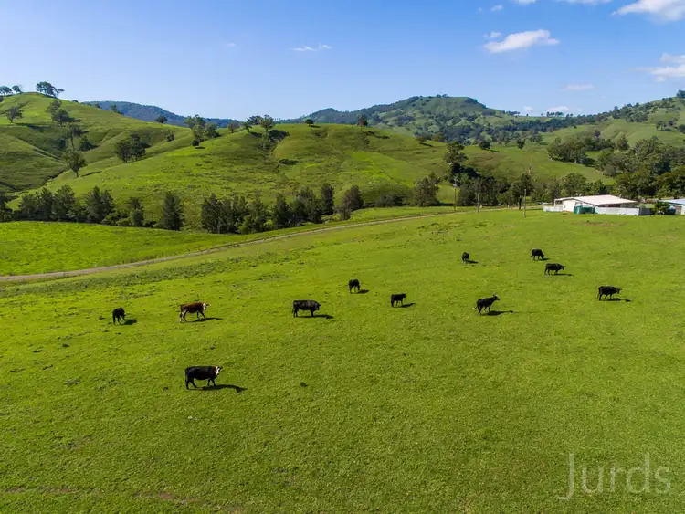 Second view of Homely rural property listing, 2001 Paterson River Road, Lostock NSW 2311