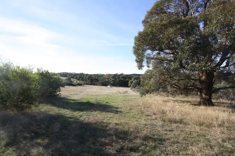 Fourth view of Homely rural property listing, Allot. D19 Flagstaff Ridge Road, Linton VIC 3360