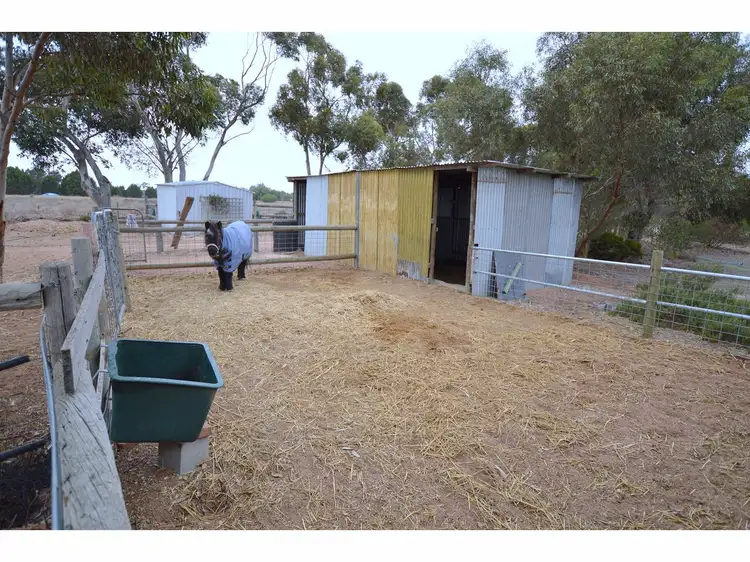 Sixth view of Homely rural property listing, 17060 Karoonda Highway, Murray Bridge East SA 5253