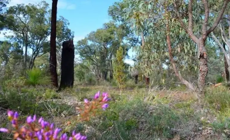 110 Patersonia Road, Chittering WA 6084