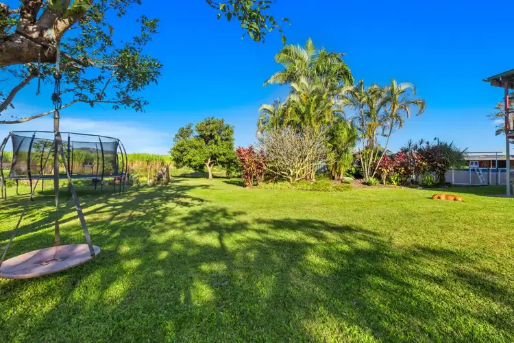 Fourth view of Homely house listing, 8 Colonial Drive, Condong NSW 2484