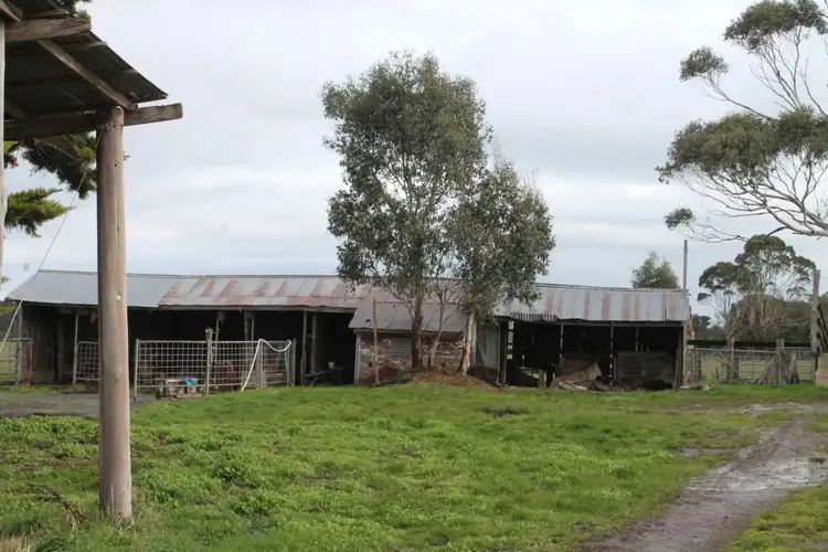 Fourth view of Homely rural property listing, 120 Cobden-Scotts Creek Road, Cobden VIC 3266