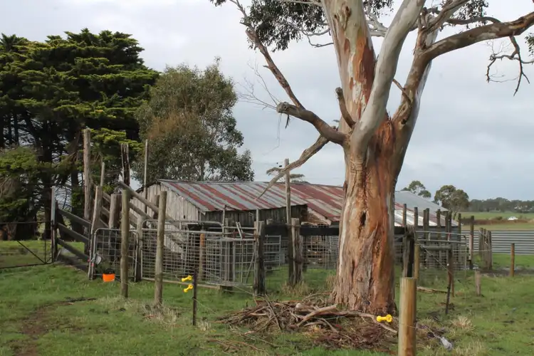 Seventh view of Homely rural property listing, 120 Cobden-Scotts Creek Road, Cobden VIC 3266