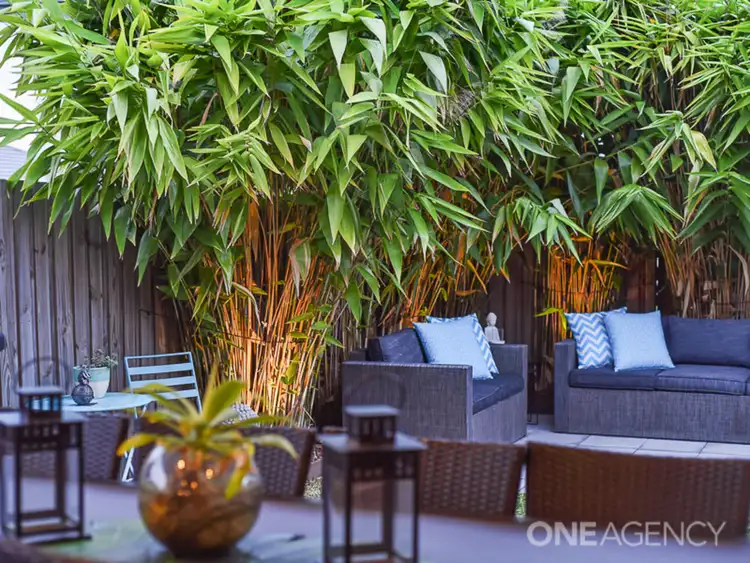 Fifth view of Homely house listing, 40 Cooloola Circuit, Warner QLD 4500