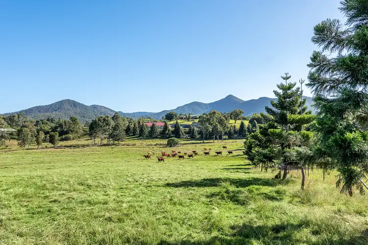 Main view of Homely land listing, Lot 1 Country Lane, Mount Samson QLD 4520
