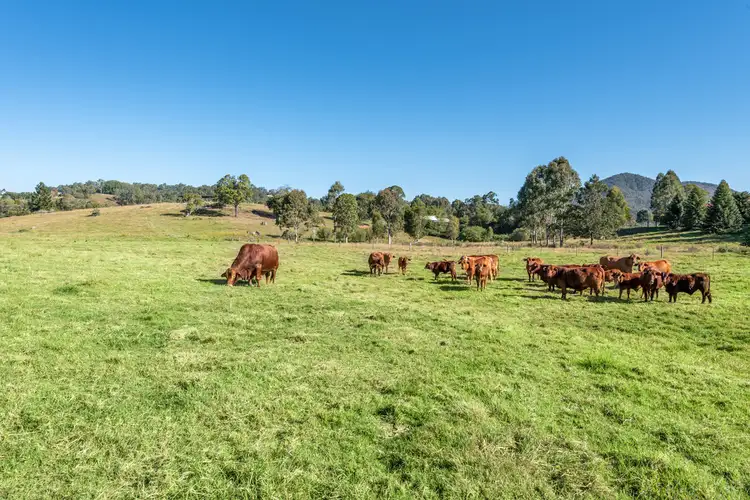 Fifth view of Homely land listing, Lot 1 Country Lane, Mount Samson QLD 4520