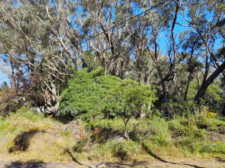 36 Winston Street, Leura NSW 2780