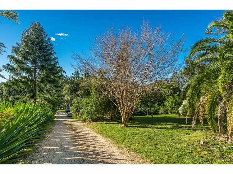 Second view of Homely rural property listing, 100 Myocum Downs Drive, Myocum NSW 2481
