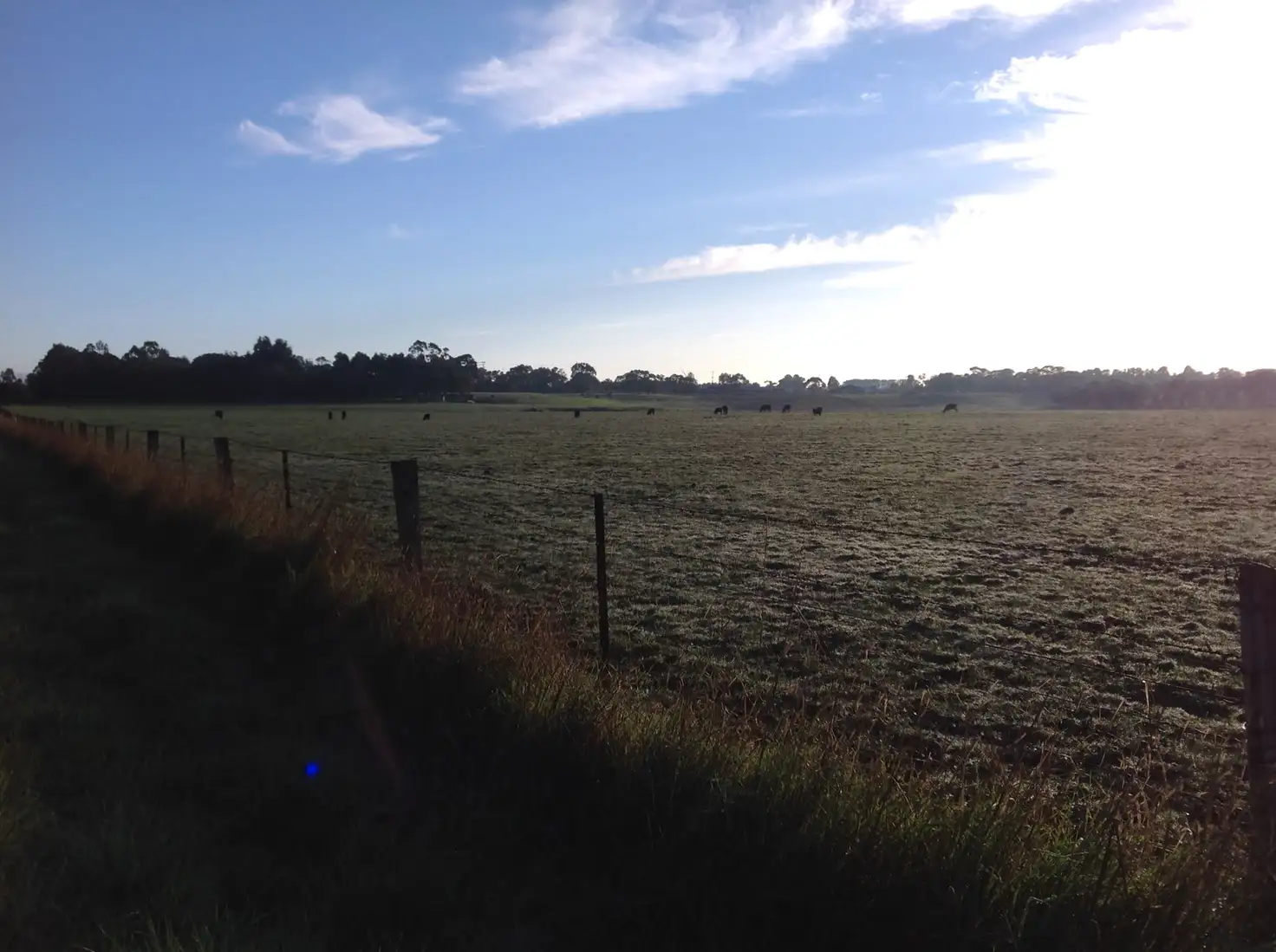 Main view of Homely rural property listing, 75 Birregurra Road, Birregurra VIC 3242