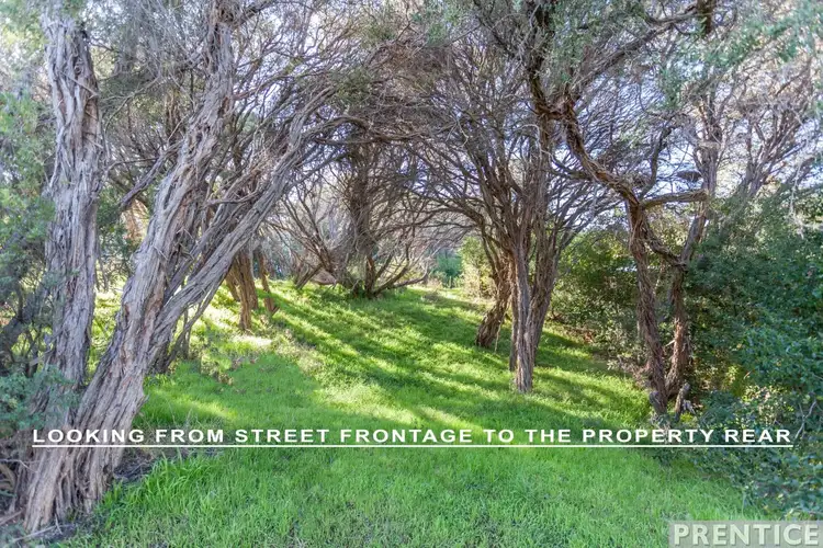 Fourth view of Homely land listing, 13 Rodney Street, Rye VIC 3941