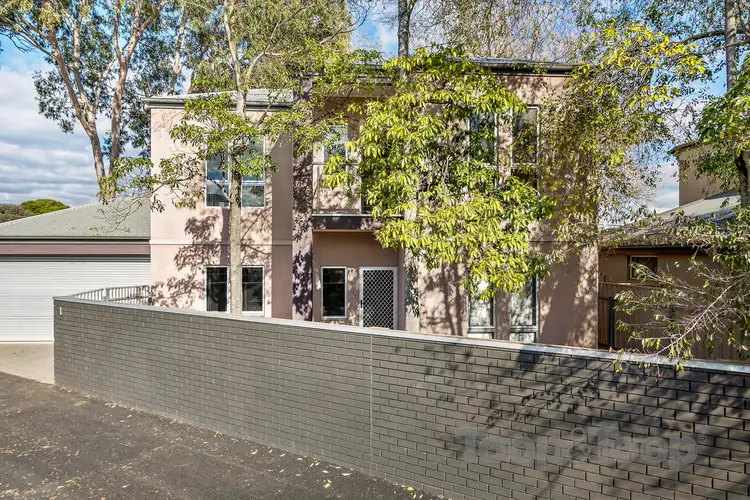1 Macklin Street, Parkside SA 5063