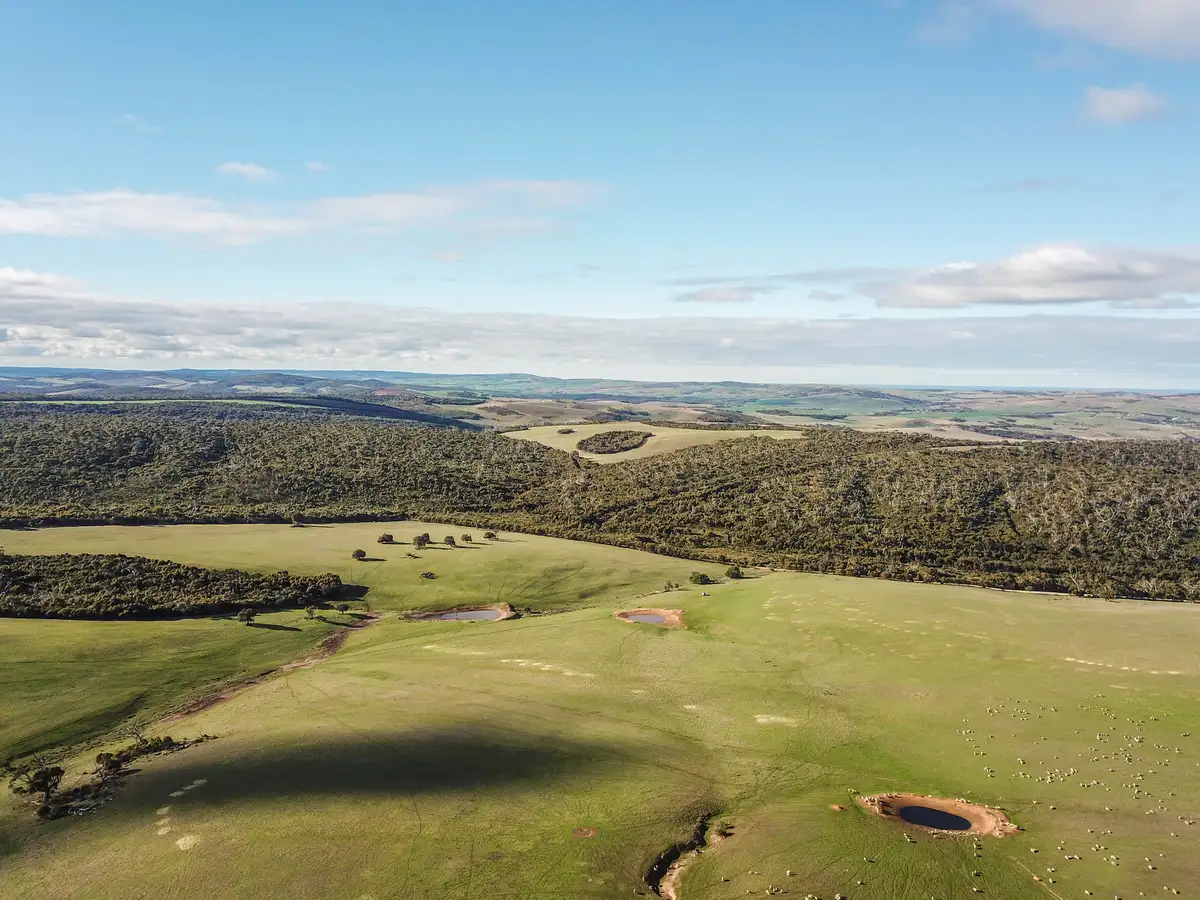 Main view of Homely rural property listing, 438 Pope Drive, Charlton Gully SA 5607