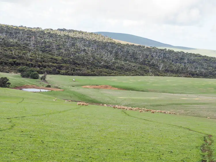 Third view of Homely rural property listing, 438 Pope Drive, Charlton Gully SA 5607