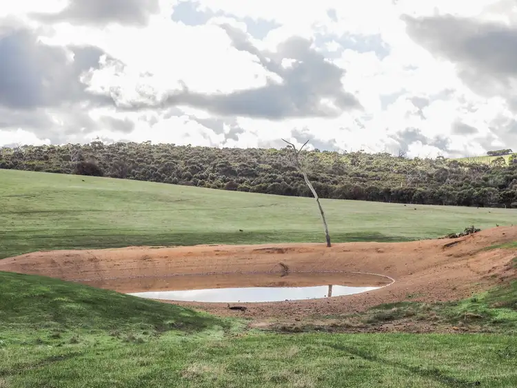 Fifth view of Homely rural property listing, 438 Pope Drive, Charlton Gully SA 5607