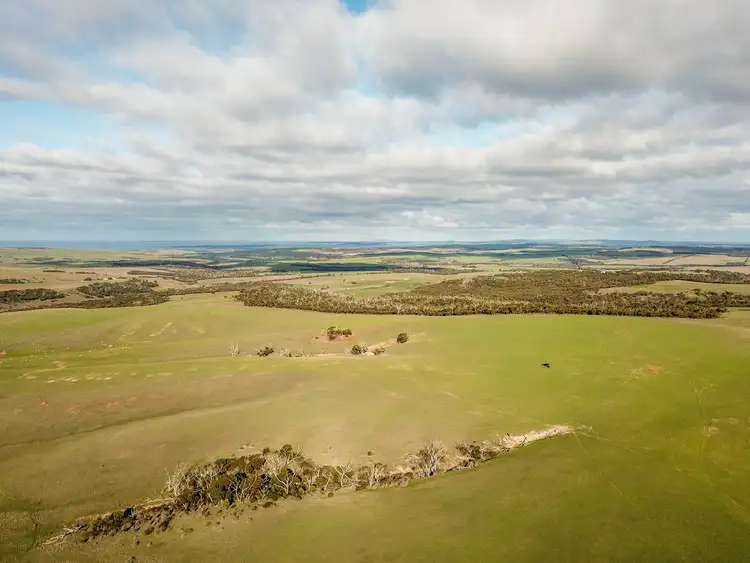 Sixth view of Homely rural property listing, 438 Pope Drive, Charlton Gully SA 5607