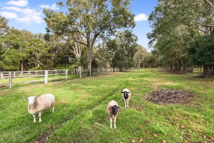 Fourth view of Homely rural property listing, 27 South Tacoma Road, Tacoma South NSW 2259