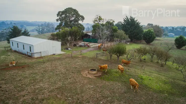 Seventh view of Homely house listing, 21 Connor Road, Drouin West VIC 3818