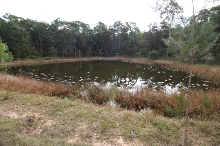 Fourth view of Homely rural property listing, LOT 6 Ryries, Lawrence NSW 2460