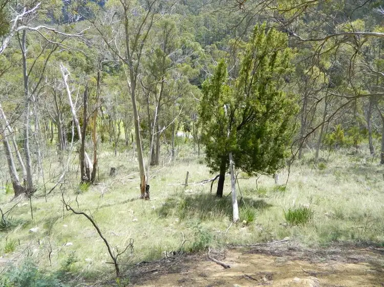 Fifth view of Homely land listing, 515 Plenty Valley Road, Glenfern TAS 7140