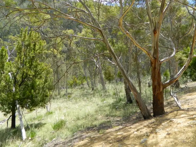 Sixth view of Homely land listing, 515 Plenty Valley Road, Glenfern TAS 7140