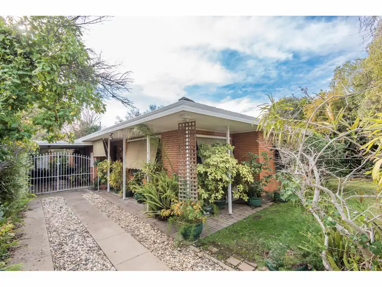41 Carson Street, Shepparton VIC 3630