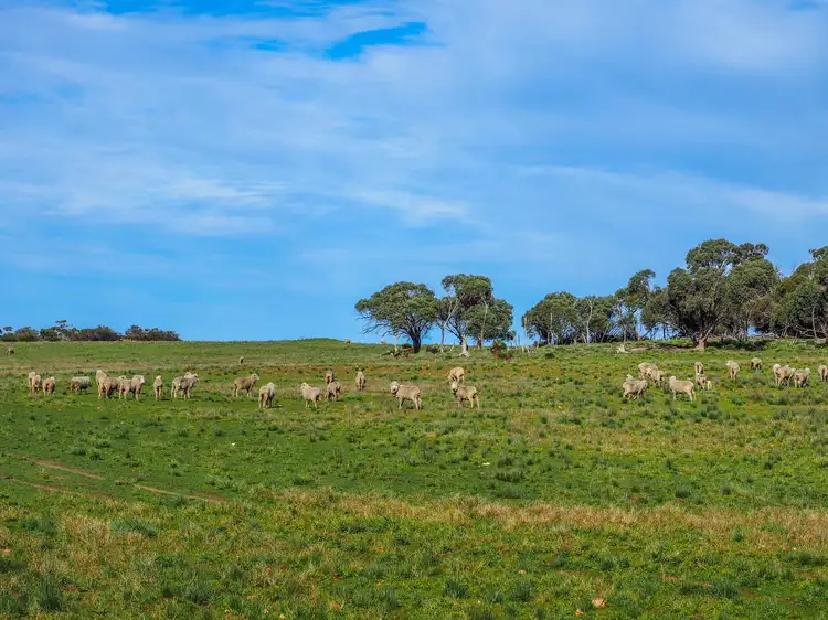 Second view of Homely rural property listing, Section 471 Flinders Highway, Coomunga SA 5607