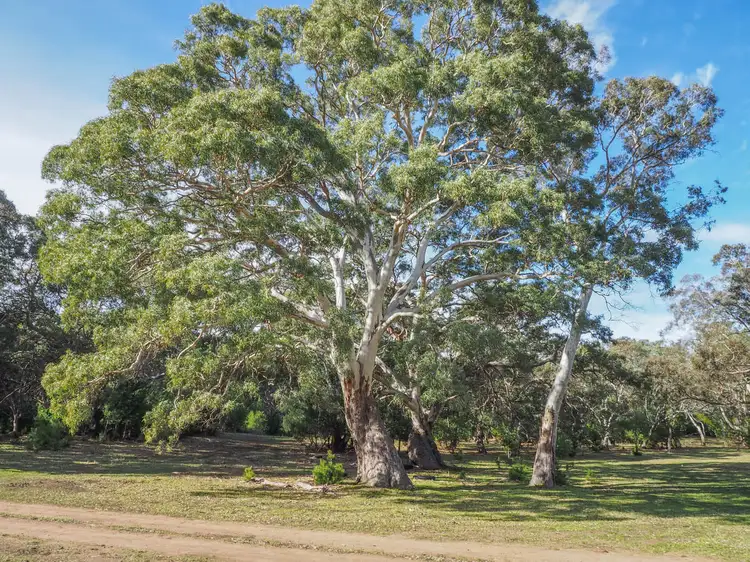 Fourth view of Homely rural property listing, Section 471 Flinders Highway, Coomunga SA 5607