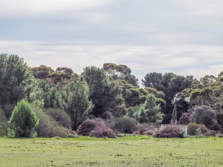 Fifth view of Homely rural property listing, Section 471 Flinders Highway, Coomunga SA 5607