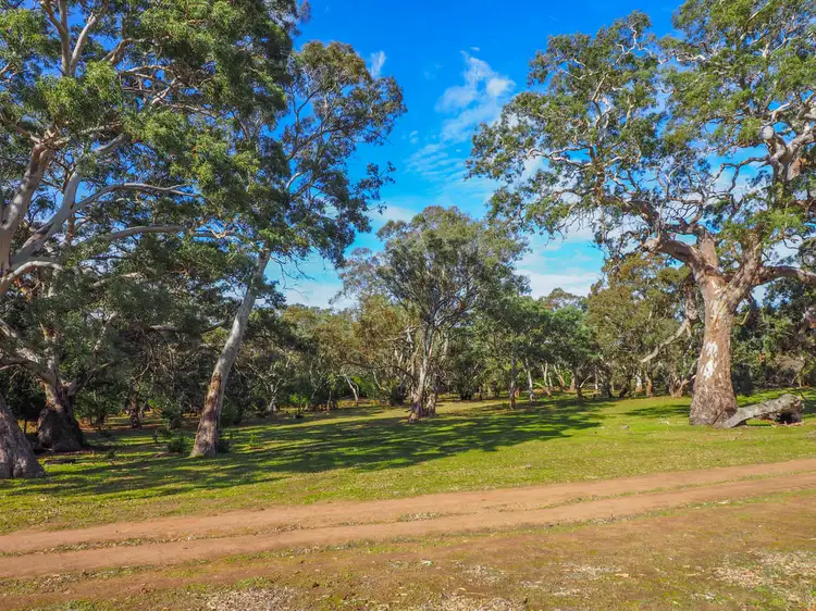 Seventh view of Homely rural property listing, Section 471 Flinders Highway, Coomunga SA 5607