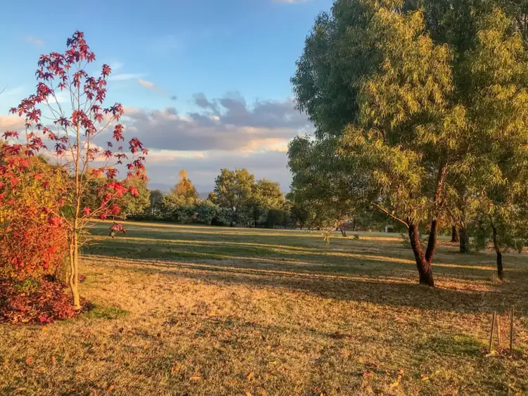 Second view of Homely rural property listing, 50 Grandview Drive, Barwite VIC 3722