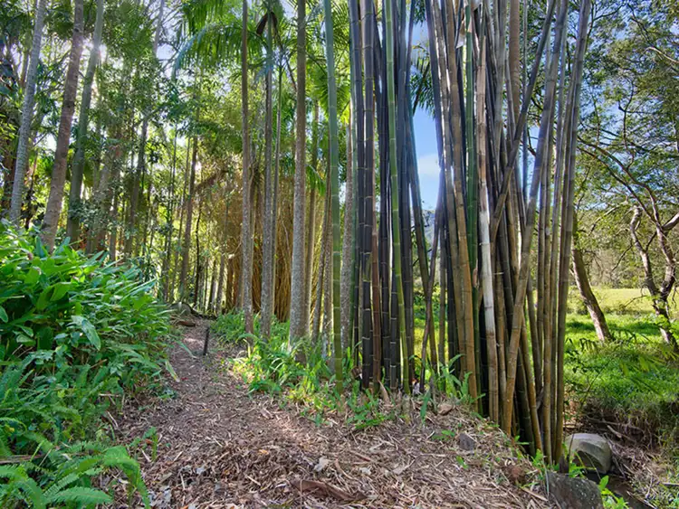 Fourth view of Homely rural property listing, 776 Cedar Creek Road, Cedar Creek QLD 4520