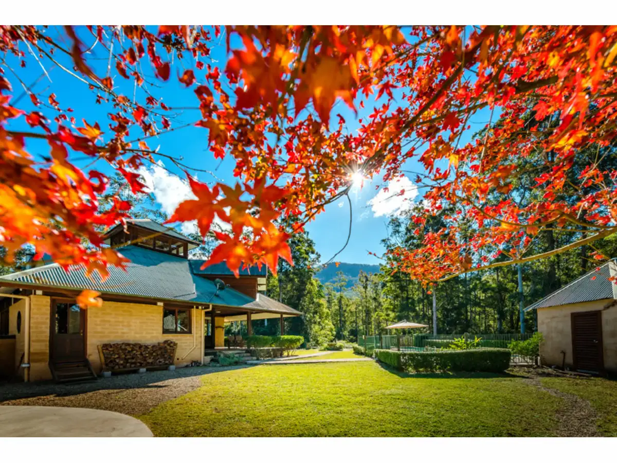Main view of Homely rural property listing, 190 Summervilles Road, Bellingen NSW 2454