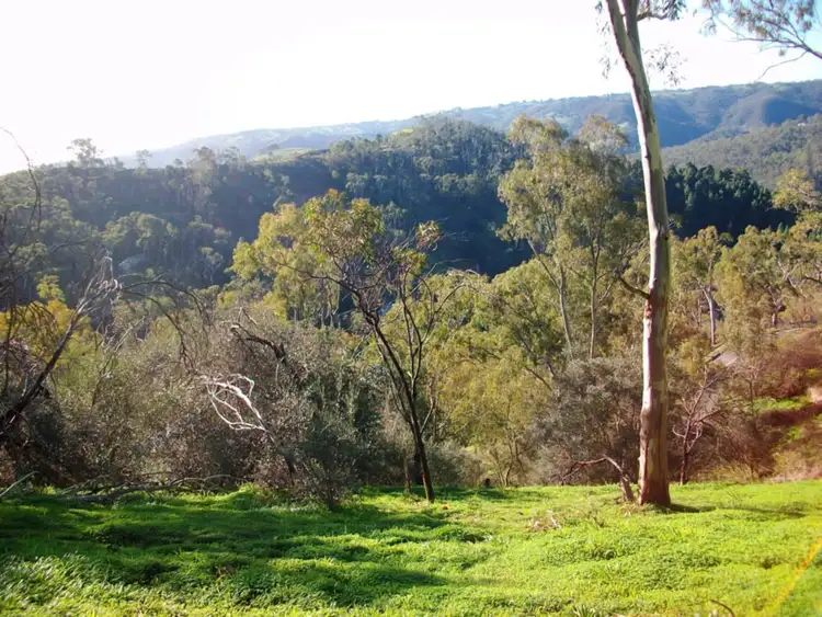 Second view of Homely rural property listing, LOT 19 Church Road, Montacute SA 5134