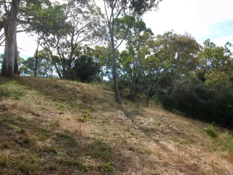 Fourth view of Homely rural property listing, LOT 19 Church Road, Montacute SA 5134